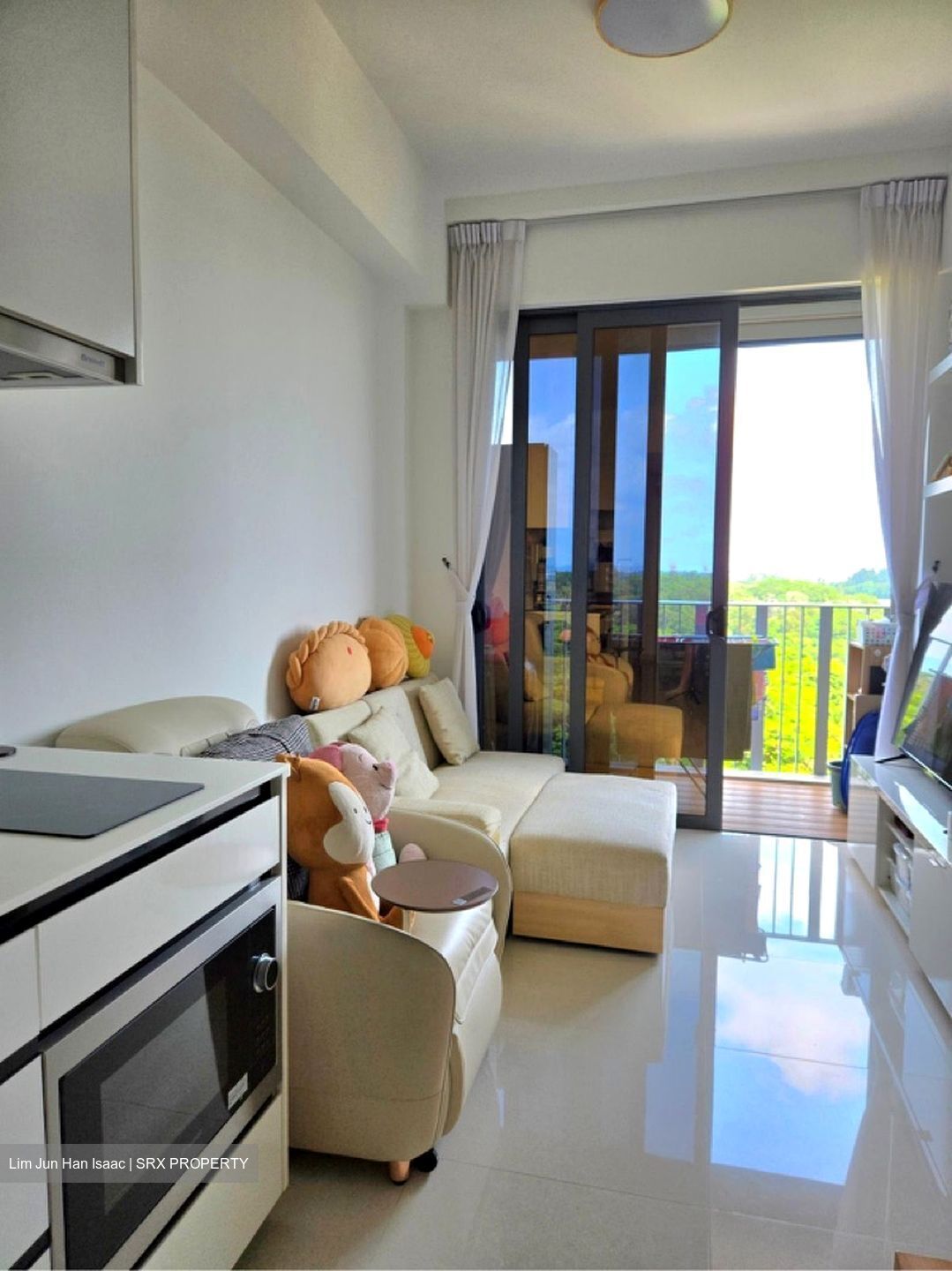 Parc Botannia (D28), Condominium #608656331